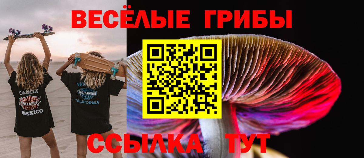 Галлюциногенные грибы ЛСД  Вход с VPN  Тайшет 